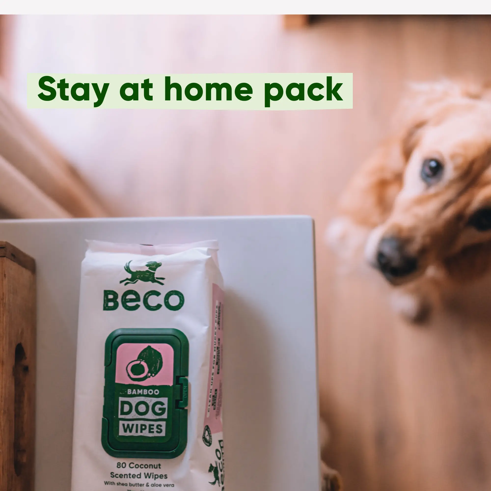 Dog Essentials Bundle - Image 5