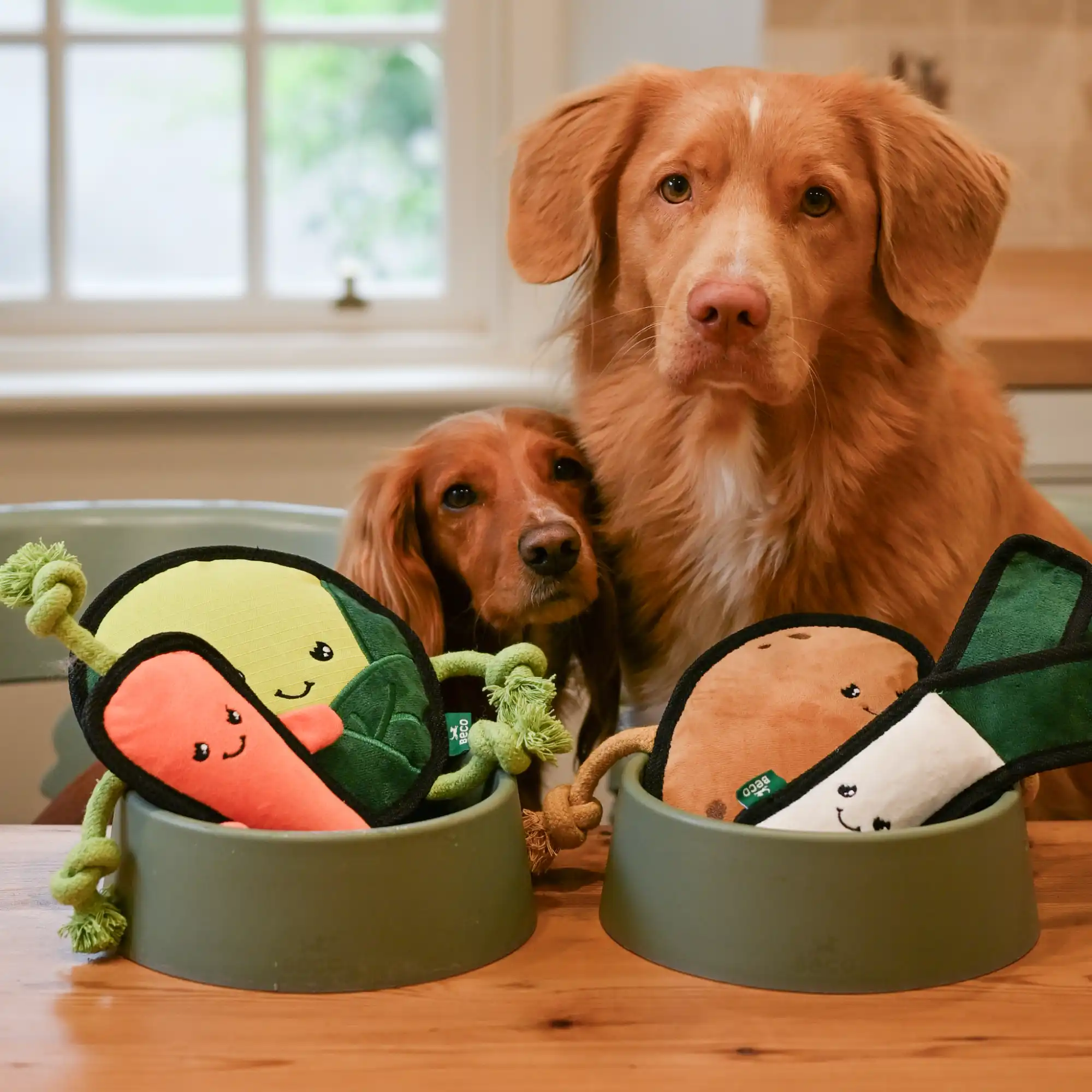 Plush Leek Dog Toy - Image 6